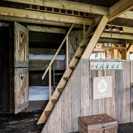 Luxury tent Charming Woodlodge Callantsoog